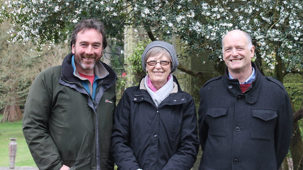 BBC Radio Ulster - Gardeners' Corner, 25/04/2015, A New Hedge in ...