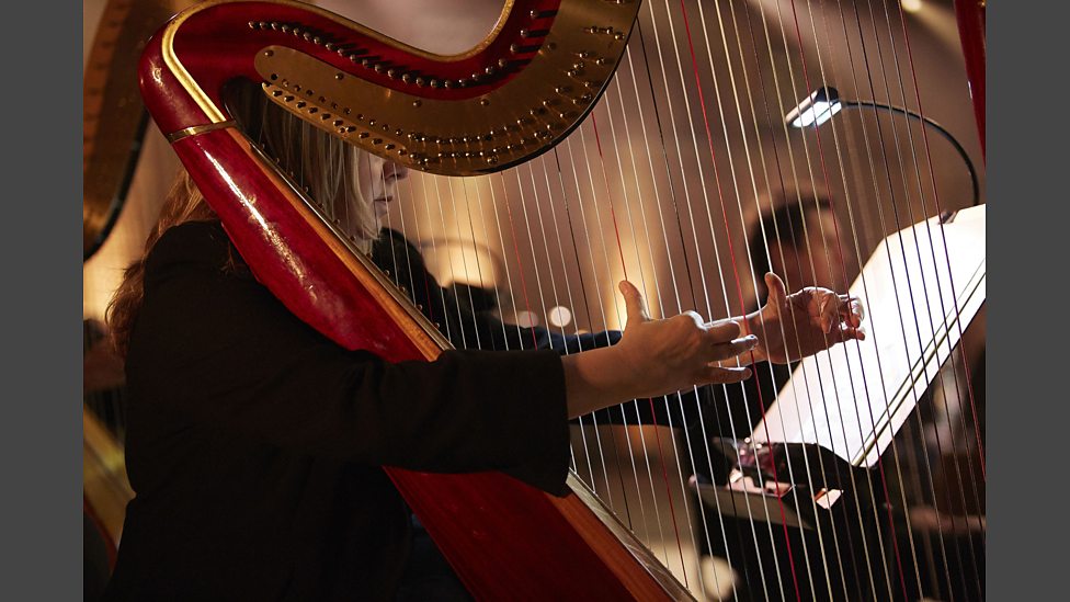 BBC The orchestral families in the BBC Philharmonic Harp player