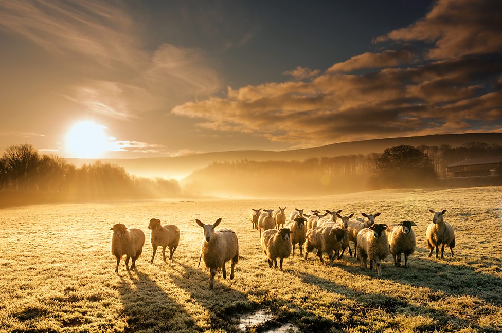 view-bbc-co-uk-countryfile-calendar-2022-images-my-gallery-pics