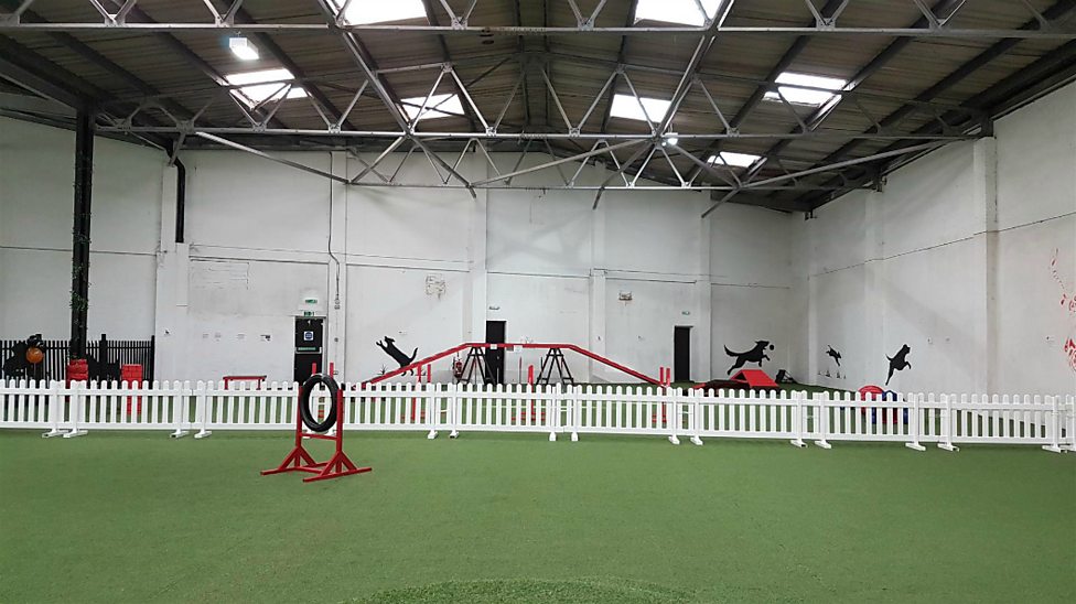 indoor dog park profitable