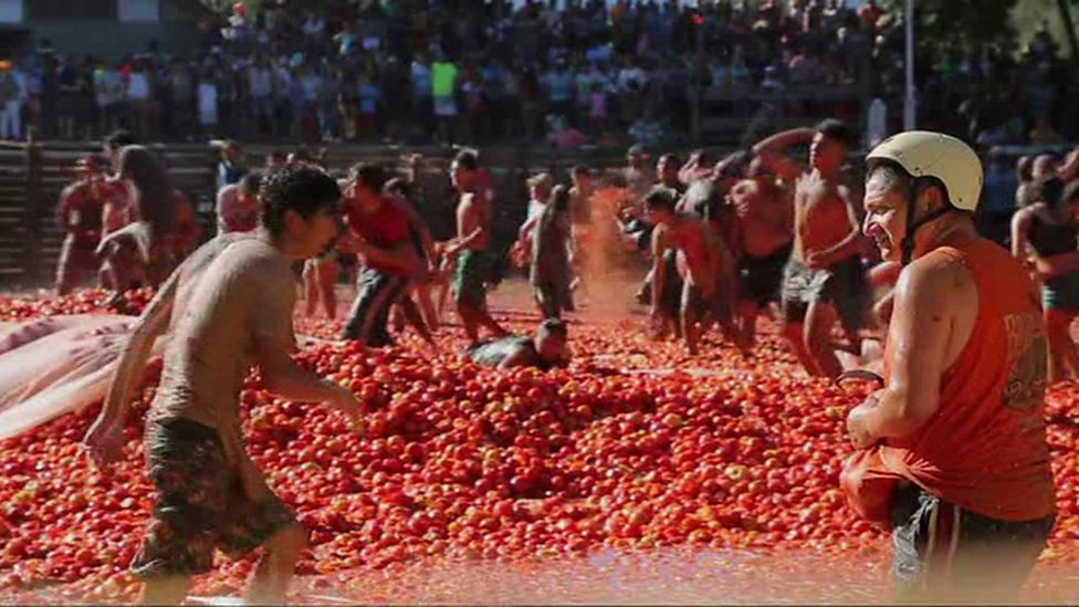 Chile Tomato War Hundreds in huge tomato throwing battle CBBC Newsround