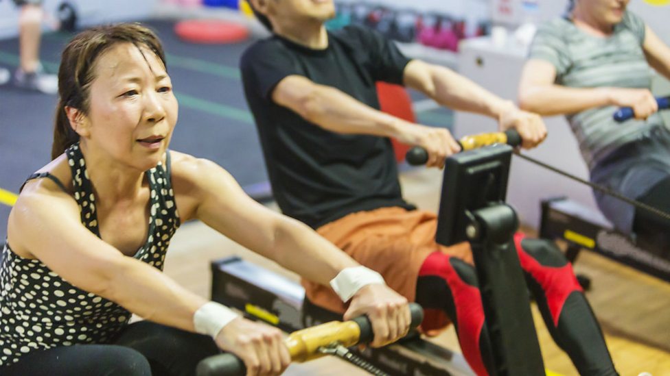 Response to exercise Energy systems in muscle cells Higher Human