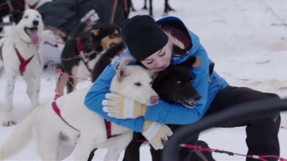 Pawsome dog sledders finish Polar journey