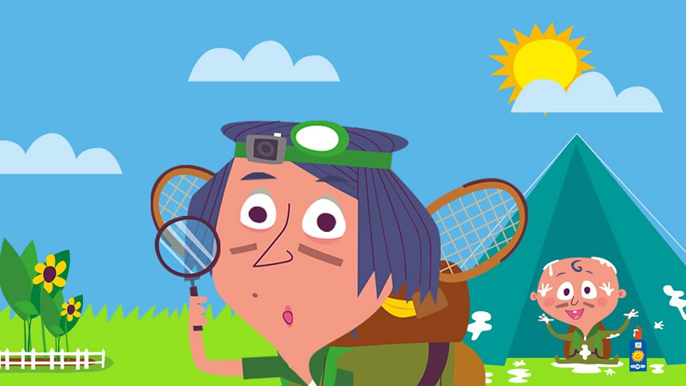 Why do leaves fall off trees? BBC Bitesize