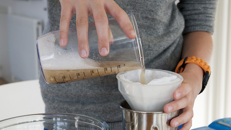 Extracting DNA from fruit Reproduction, the genome and gene expression Edexcel GCSE