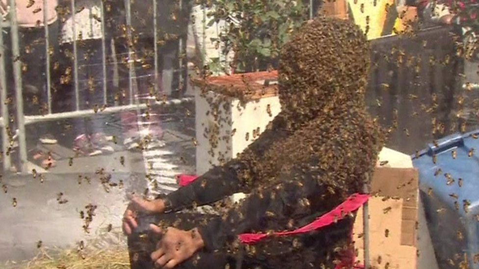 A Man Has Broken The Record For Having A Bee Covered Face Cbbc Newsround