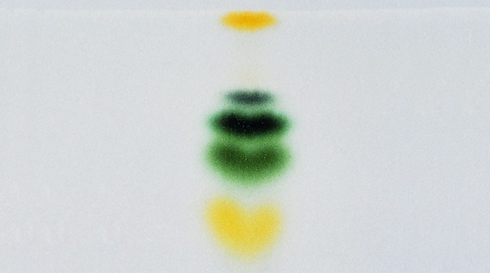 Separating substances using chromatography Photosynthesis AQA