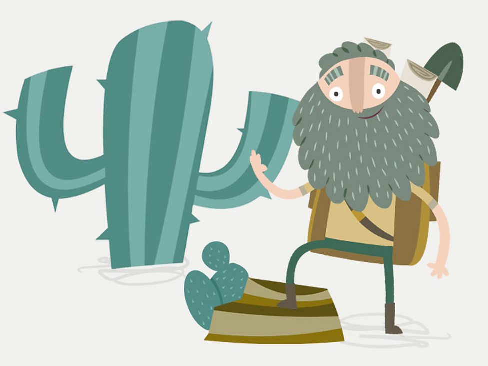 What is adaptation? - BBC Bitesize