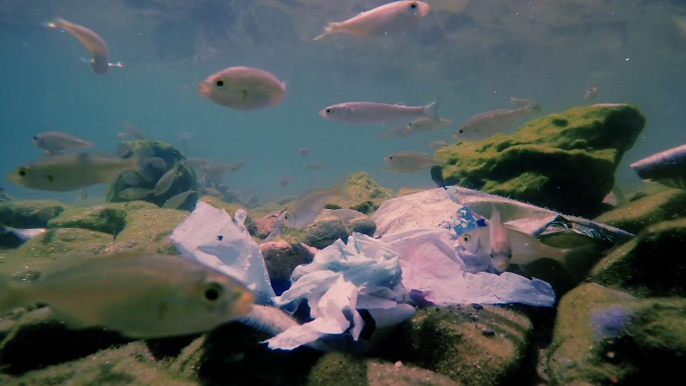 Holidaymakers cause ocean plastic spike CBBC Newsround