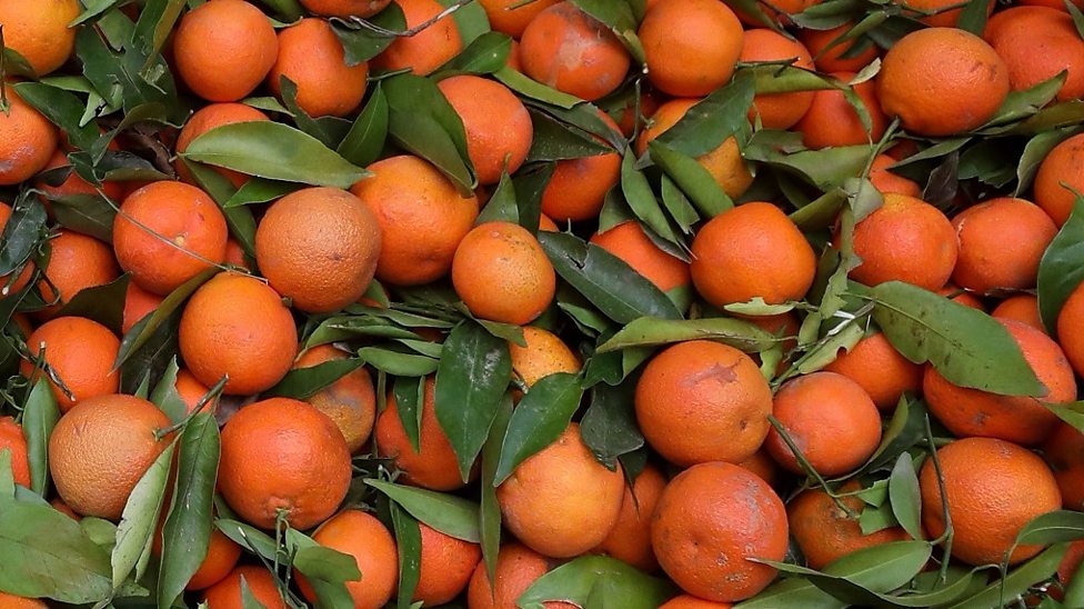 clementine tangerine