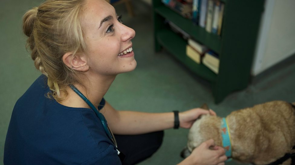 What GCSEs should I take to a... ? BBC Bitesize