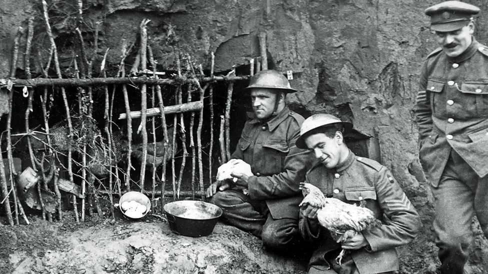 Why were animals useful in World War One? - BBC Bitesize