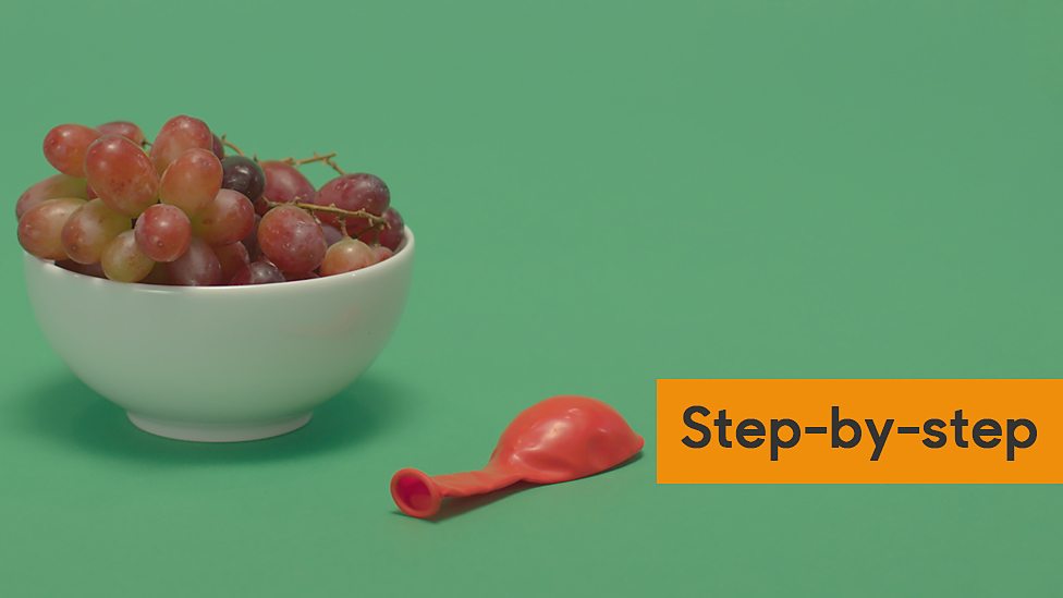 How to make a model animal and plant cell Cells KS3 Biology BBC