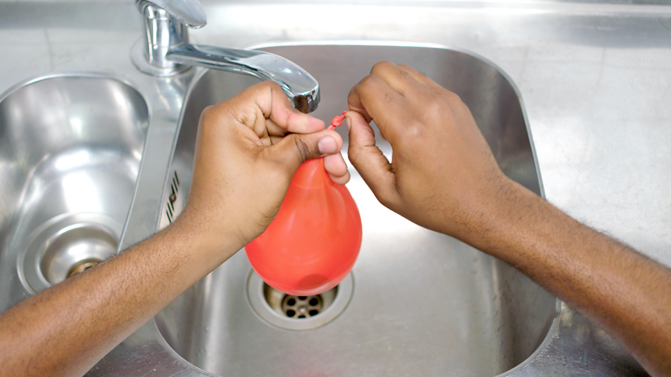 How to make a model animal and plant cell Cells KS3 Biology BBC