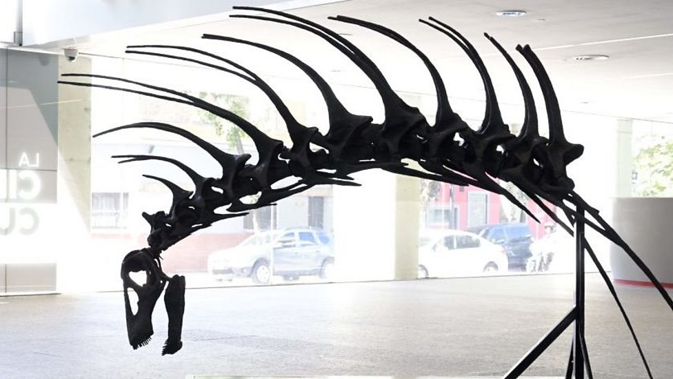 Experts Baffled What Really Caused Dinosaurs With Spikes On Back To Thrive - fxmmgex