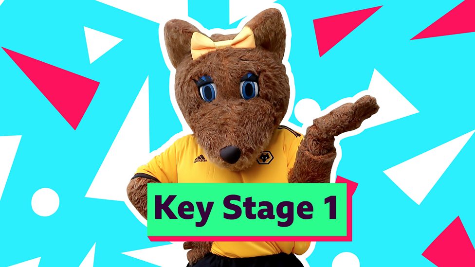 Ks1 maths counting with john farnworth bbc bitesize