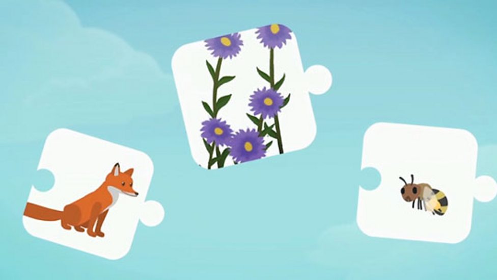 Living things 1st level Science BBC Bitesize