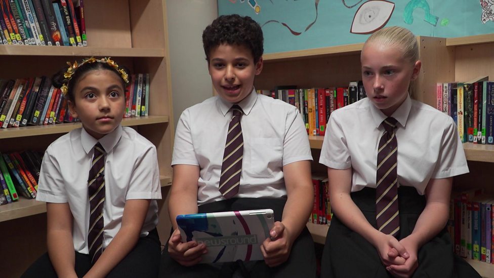 World Bee Day 2020 Why are bees so important? CBBC Newsround