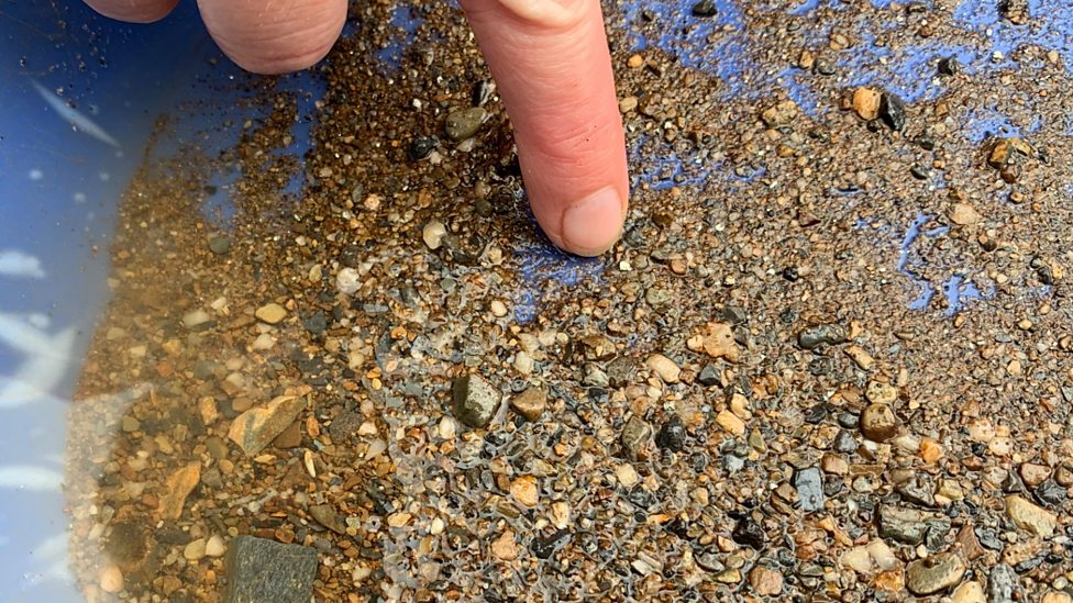 Snowdonia: Man guilty of panning for gold in Afon Wen - BBC News