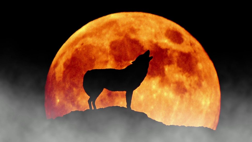Wolf moon 2020 What does a wolf moon mean and when will it happen