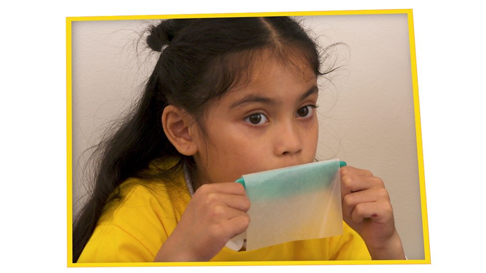 How to make a comb kazoo Music activities for children BBC Teach