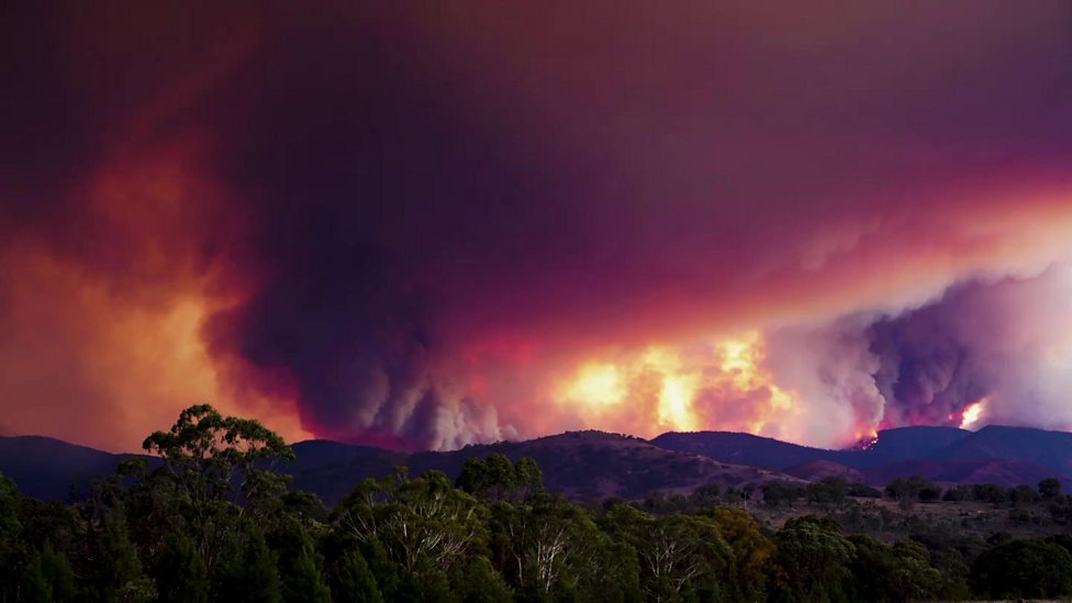 Australia fires Canberra bushfire time lapse video CBBC Newsround