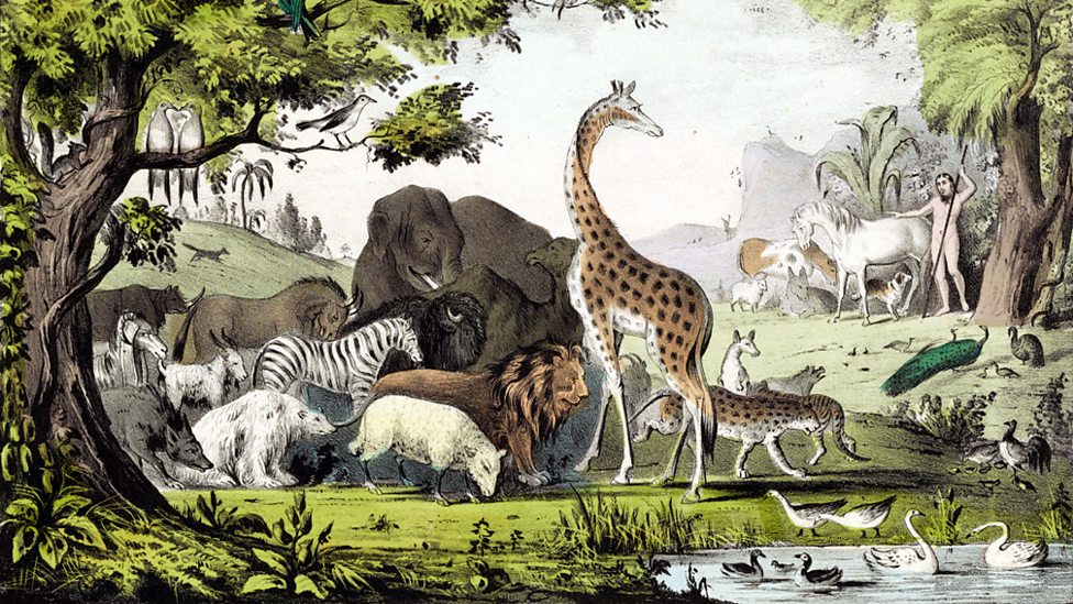 Is the Earth sacred? – KS3 Religious Studies – BBC Bitesize