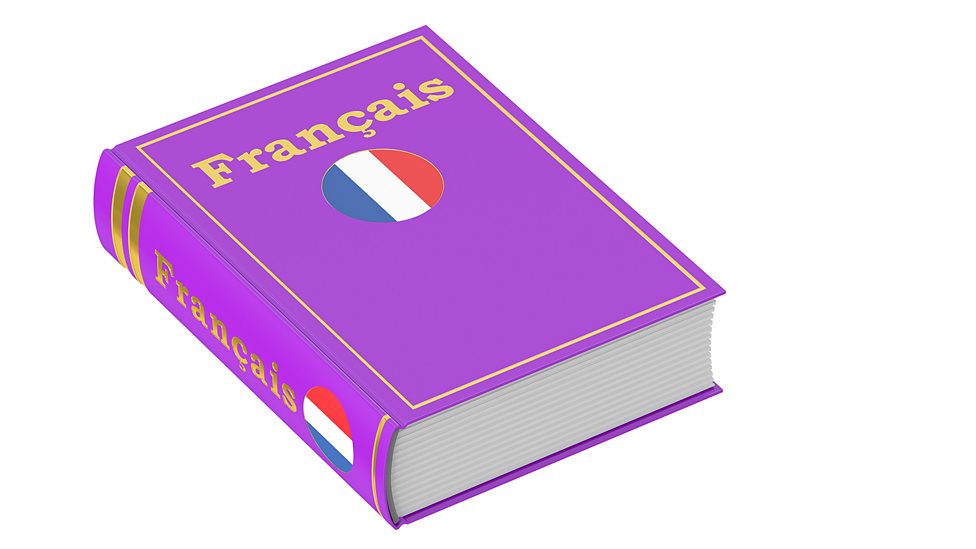 Using a French dictionary - 4th level French - BBC Bitesize