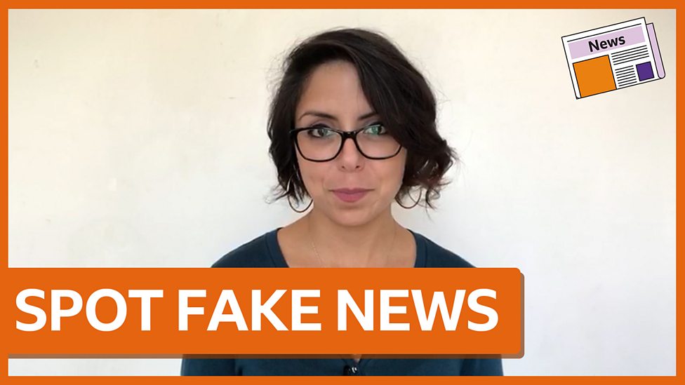 What are 'bots' and how can they spread fake news? BBC Bitesize