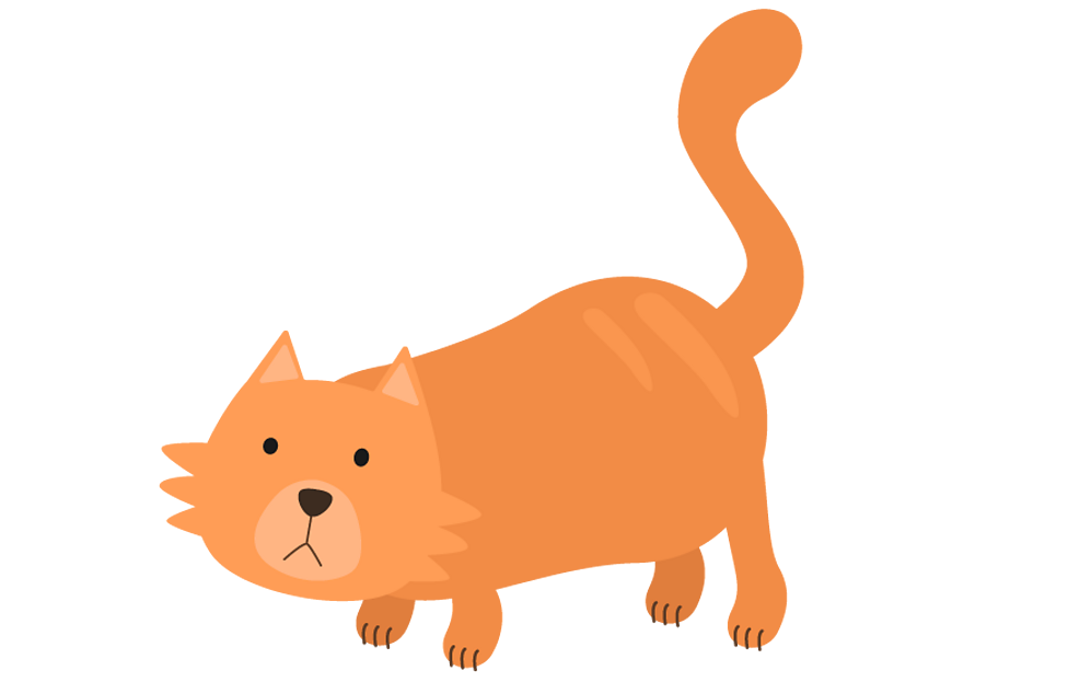 Animals and Pets KS2 French BBC Bitesize