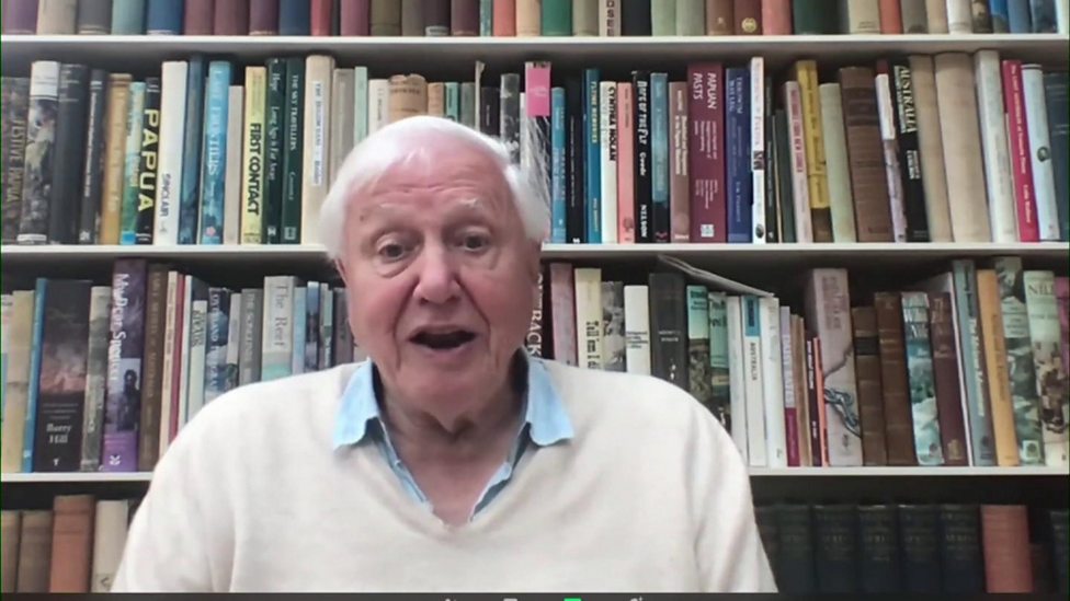 David Attenborough answers kids' questions