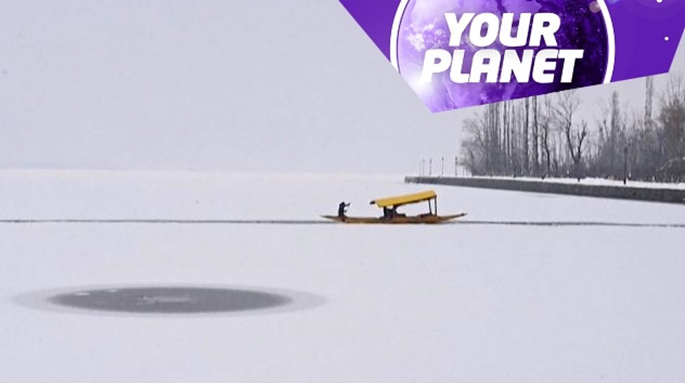 Your Planet: This week's news about the environment