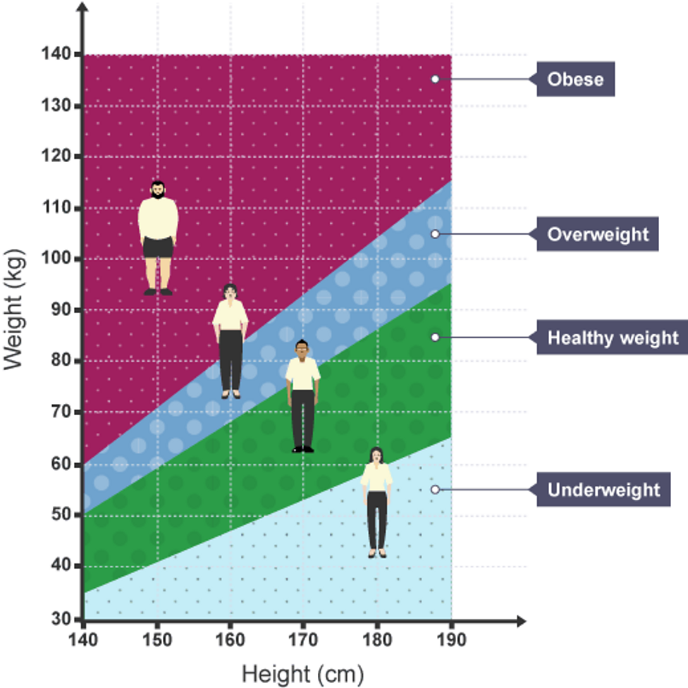 Diet Bbc Bitesize 3231