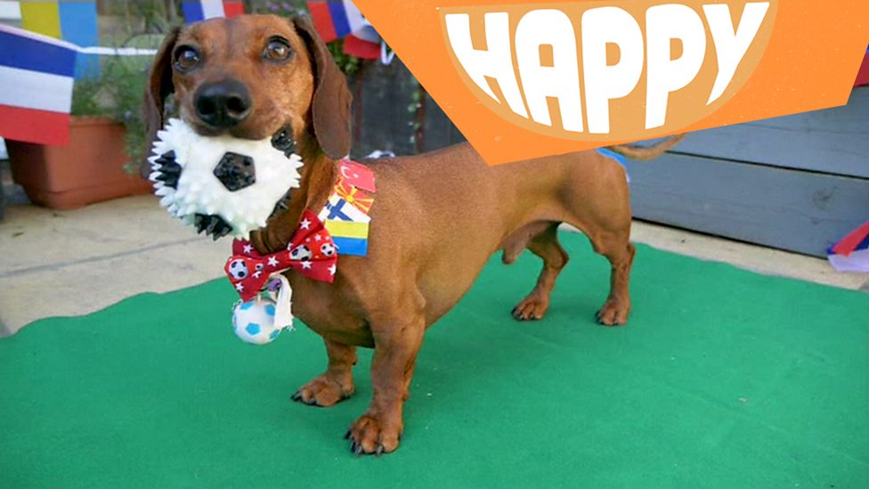 Happy News: Stories to make you smile