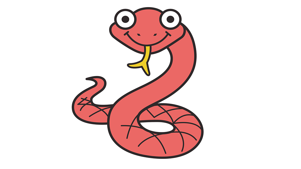 What are reptiles? BBC Bitesize