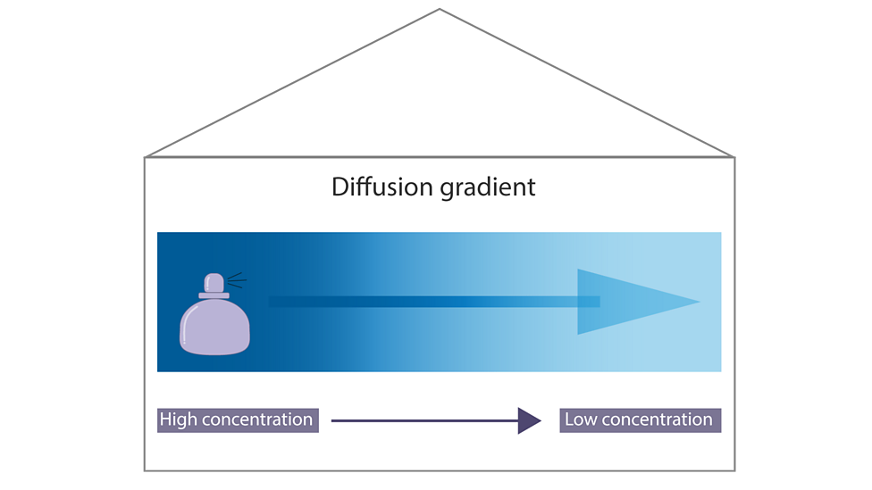 Solids, Liquids and Gases BBC Bitesize
