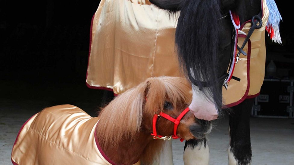 KS3 Science Working Scientifically Drawing scientific apparatus BBC Bitesize