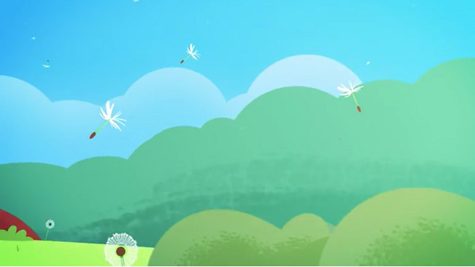 Wild and garden plants BBC Bitesize