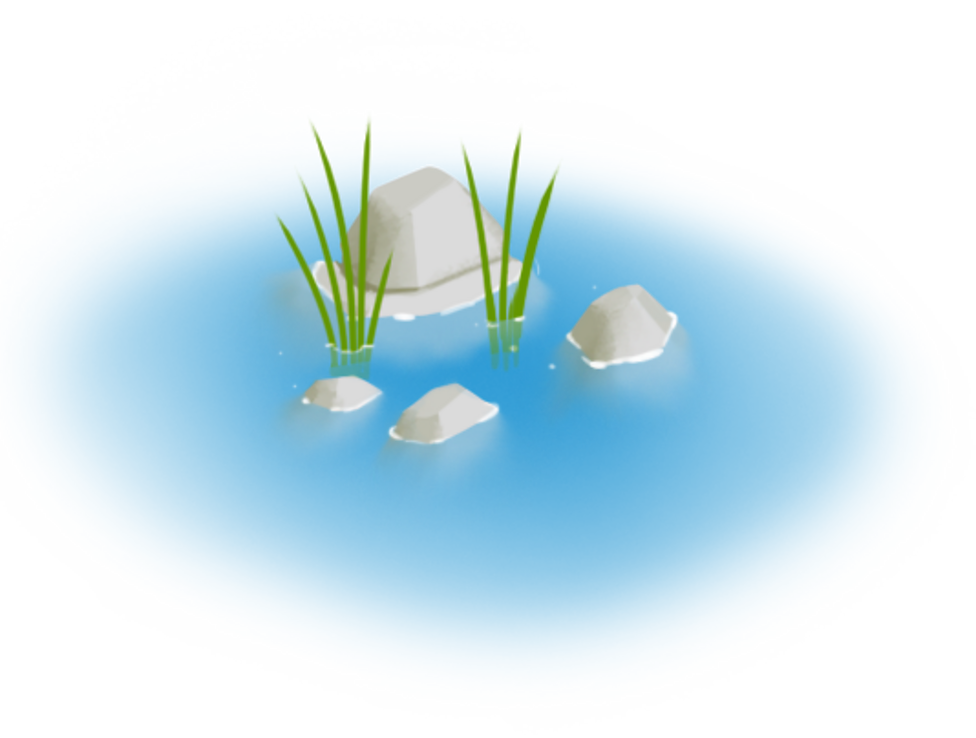 What is a pond habitat? BBC Bitesize