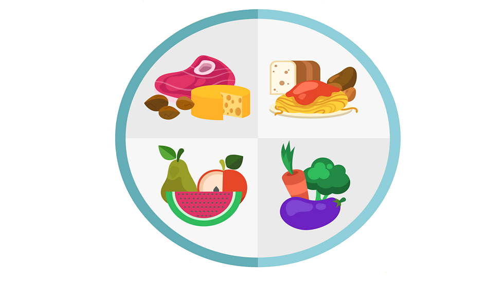 What do humans need to be healthy? - BBC Bitesize