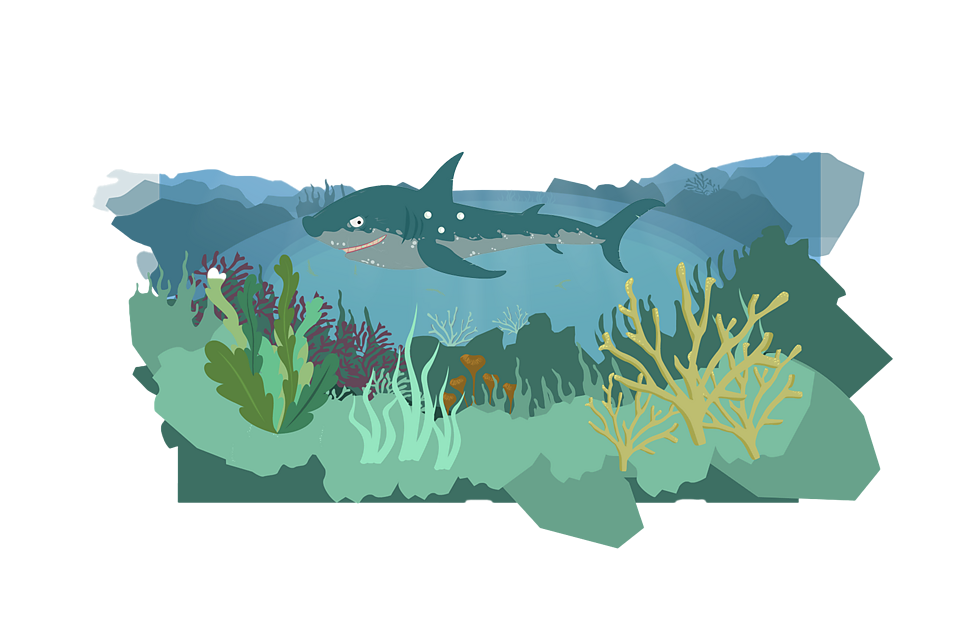 What is an ocean habitat? BBC Bitesize