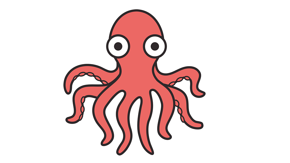 What is an ocean habitat? BBC Bitesize