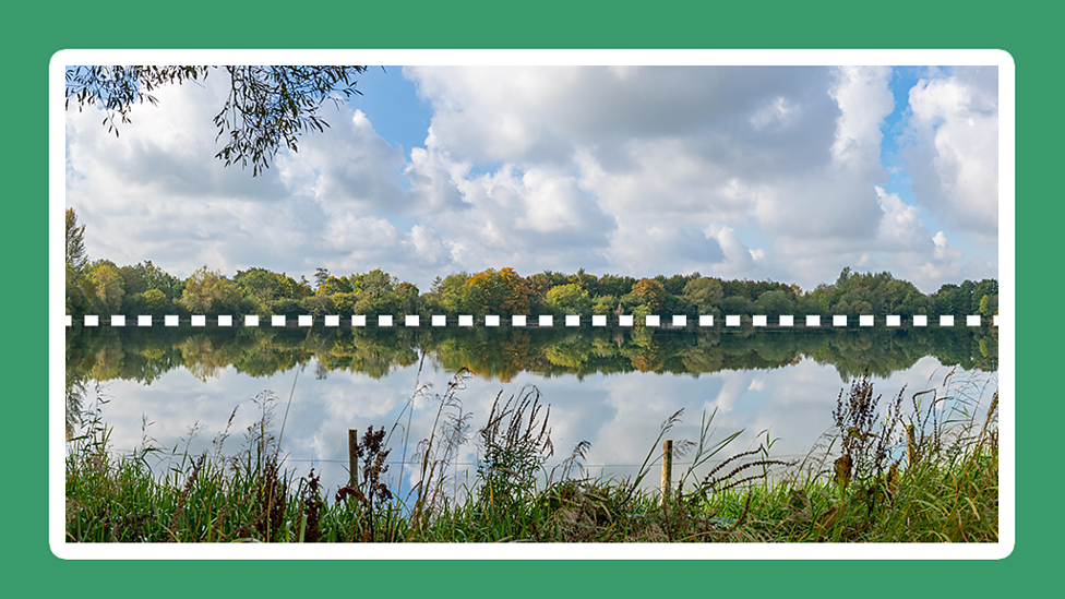 Where can you find symmetry in nature? KS2 The Regenerators BBC