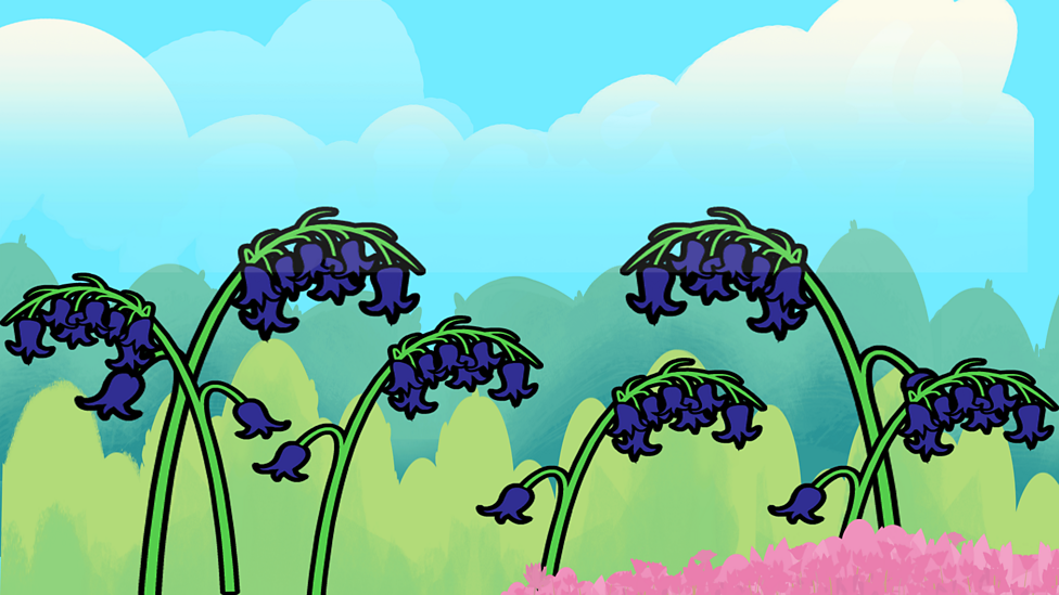 Wild and garden plants BBC Bitesize