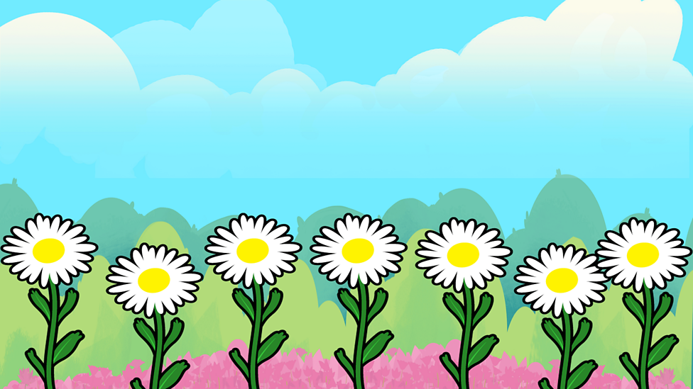 Wild and garden plants BBC Bitesize