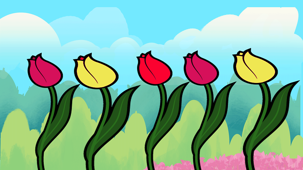 Wild and garden plants BBC Bitesize