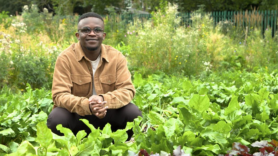 Get planting and explore nature with the BBC BBC Teach