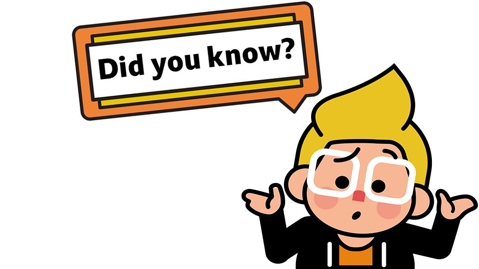 What does a plant need to grow? BBC Bitesize