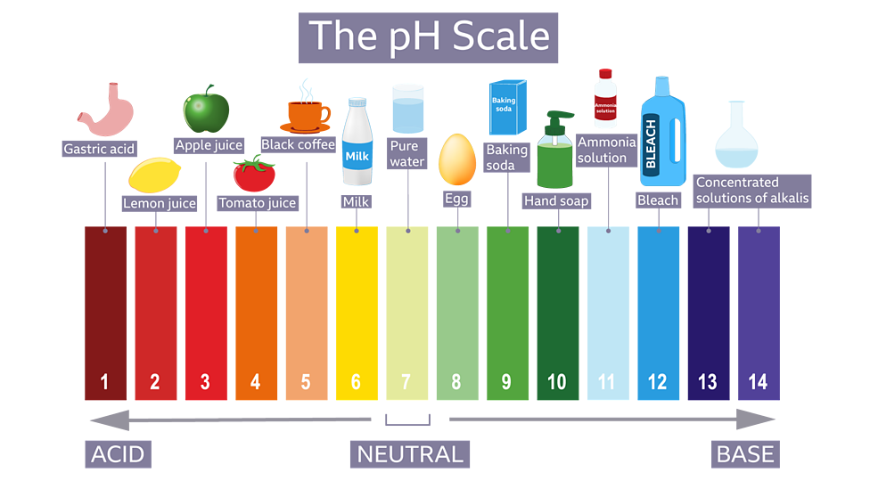 Acids and Alkalis - BBC Bitesize