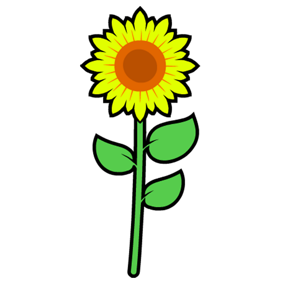 What do a plants need? BBC Bitesize